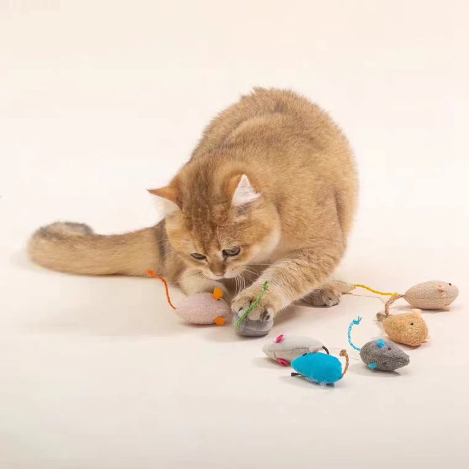 ISMARTEN Katzenminze Spielzeug, Katzen Maus Plüsch Katzenspielzeug, Katzenmäuse & Tiere Spielzeug für Indoor Katzen und Kätzchen, Katze Kauspielzeug für Übung für Haustier Katze Kätzchen Kitty (6