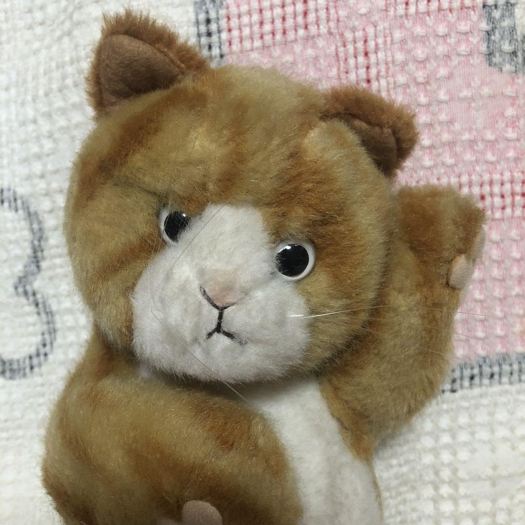 Amazon.co.jp: サンアロー ホワッツマイケル ぬいぐるみ 4コセット 難