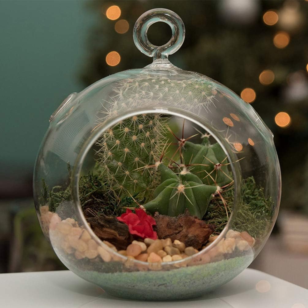 4 Pieces Vase Shaped Air Plant Glass Globe Plant Hanging Planter Glass Flowers Terrariums with Miniature Jar
