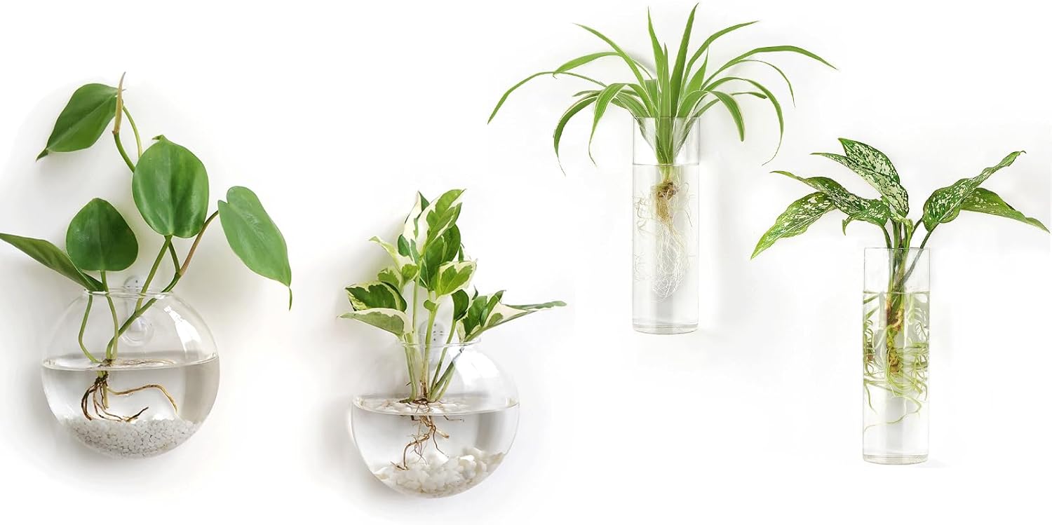Mkono Propagation Stations Wall Hanging Glass Terrariums Tubes Planter Cylinder Flower Vase for Hydroponic Plants, Bathroom Home Office Living Room Decor