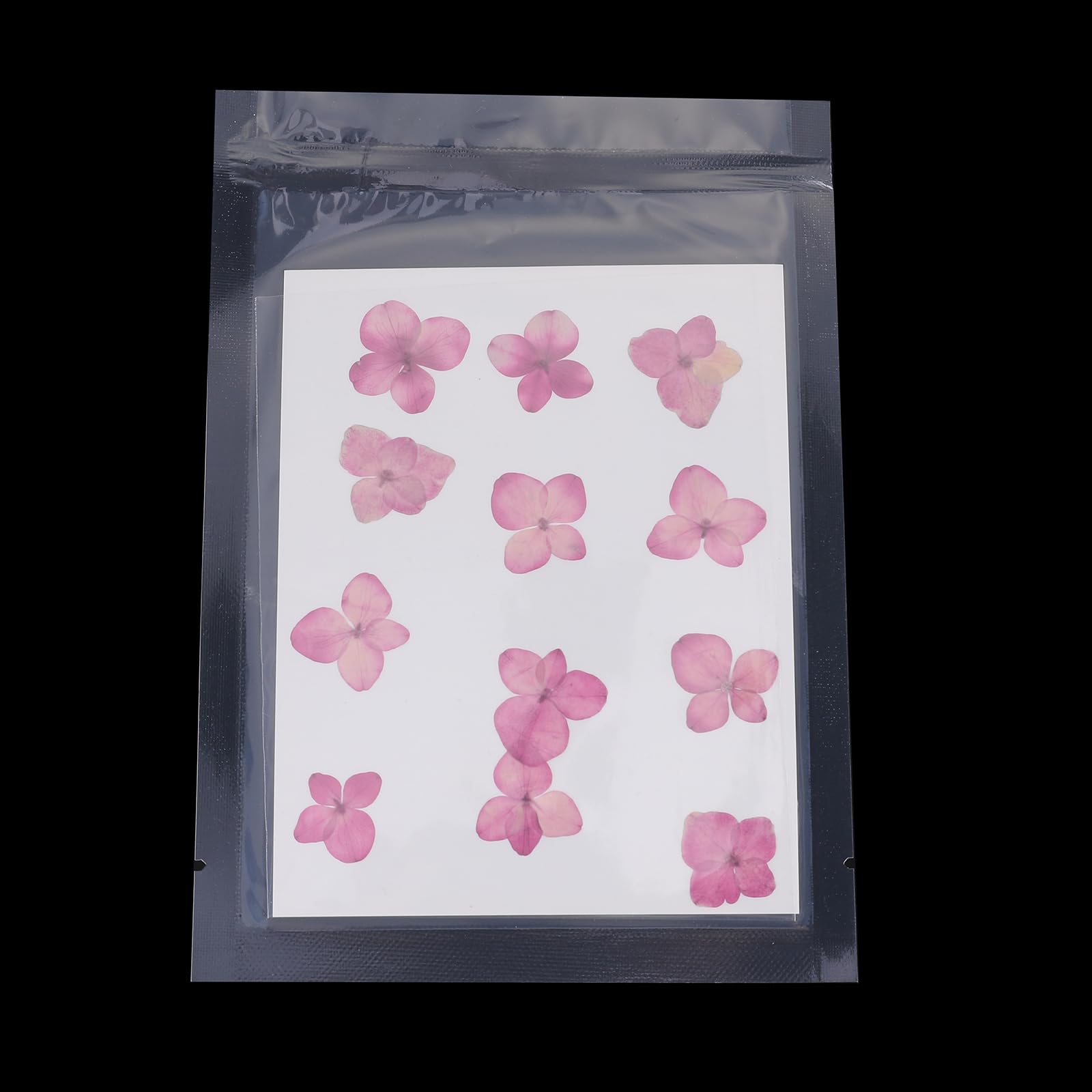 PATIKIL Dried Pressed Flower - Image 4