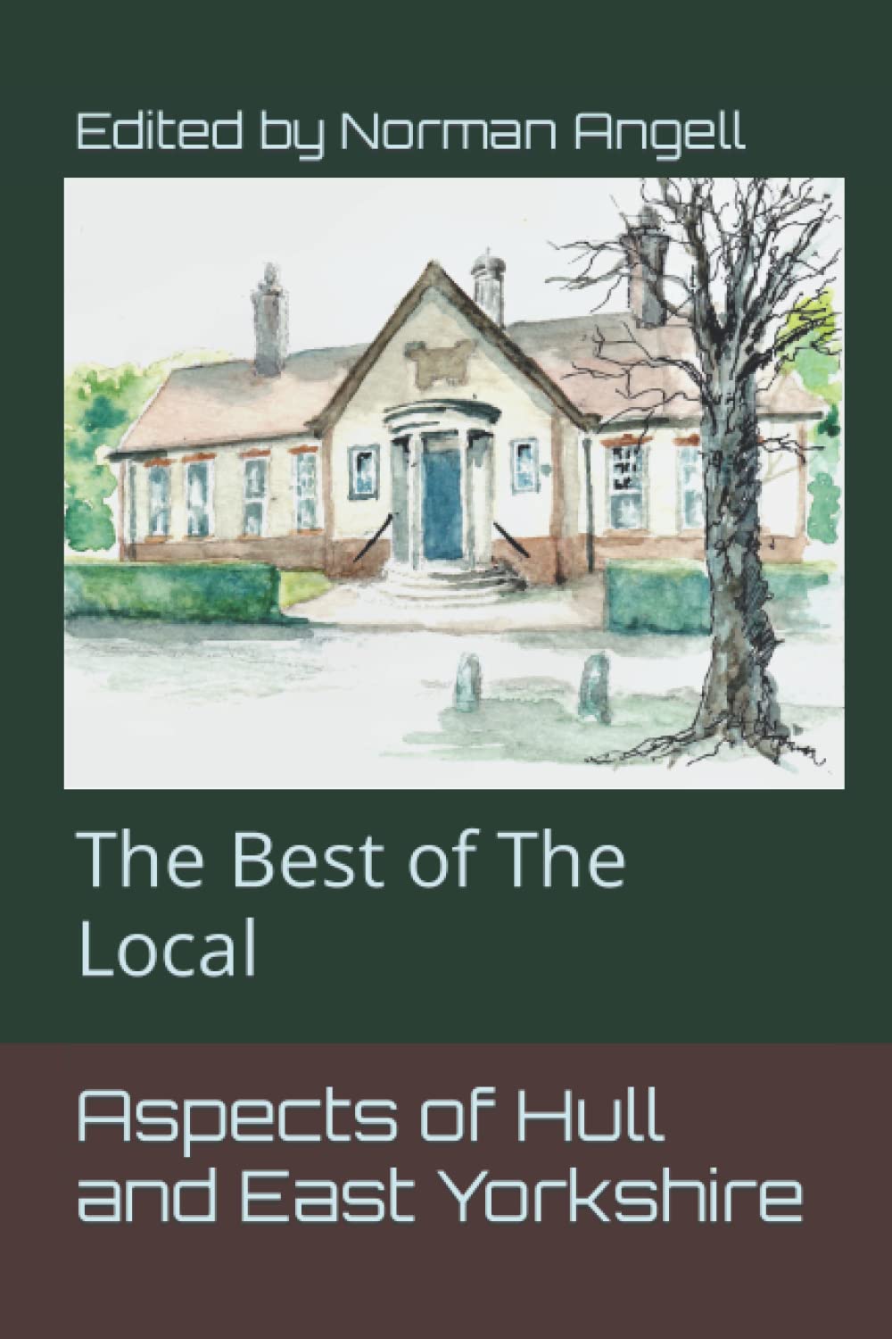 Aspects of Hull and East Yorkshire: The Best of The Local