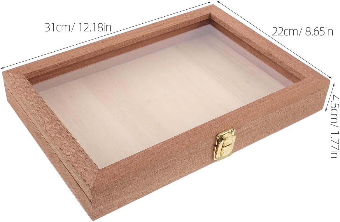 Cabilock Butterfly Display Case: Rectangular Entomology Specimen Box - Wooden Shadow Box with Clear Top - Vintage Insect Preservation for Collections & Home Decor