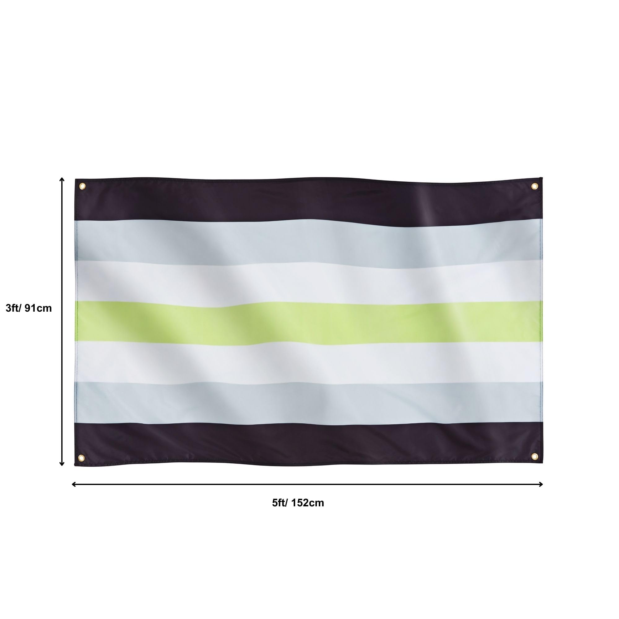 Runesol Agender Pride Flag, 91x152cm, 3ft x 5ft, 4 Grommets, Eyelet In Every Corner, Gay Pride Flag, LGBT+ flag, Pride Flag - Image 2