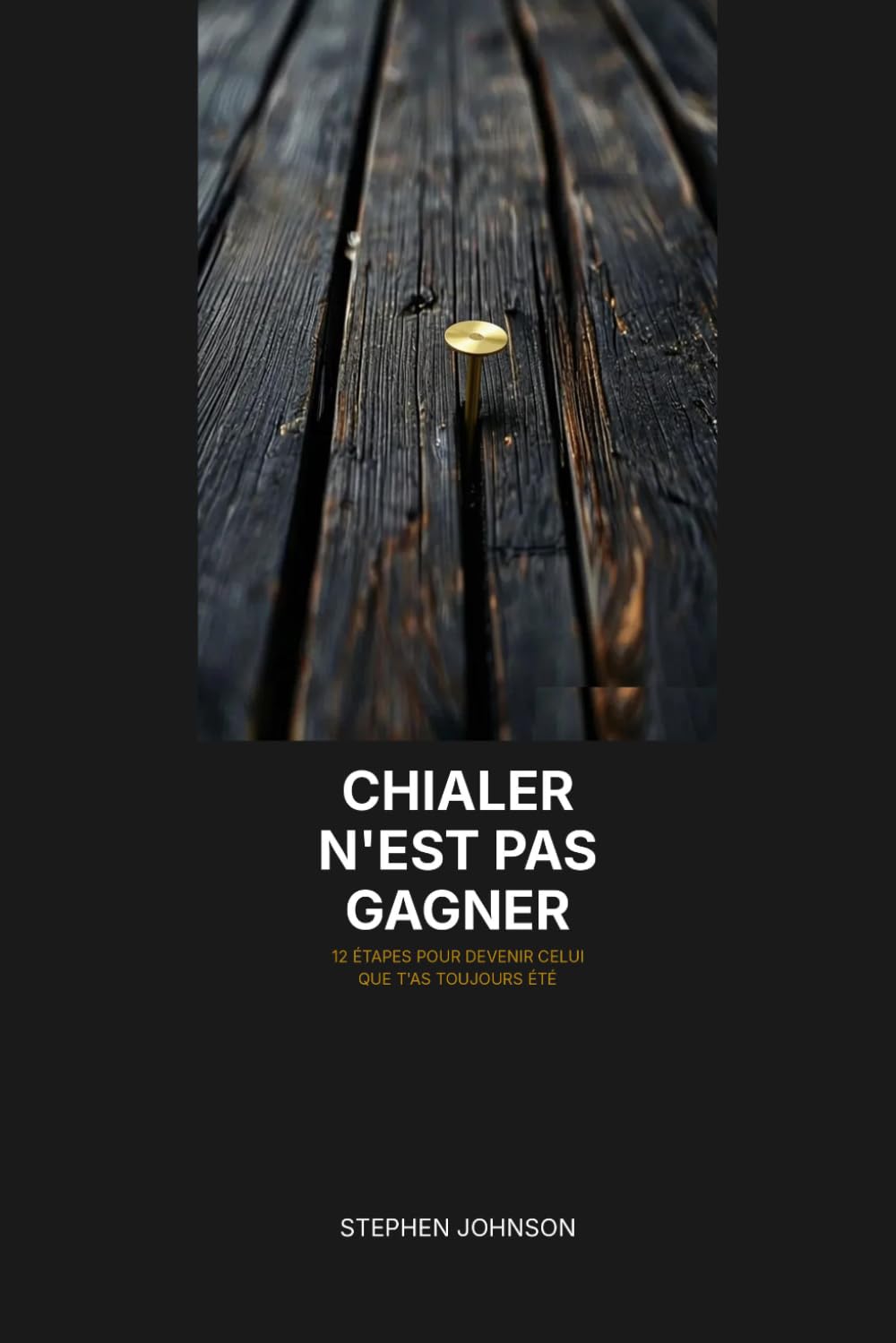 Chialer n'est pas gagner: 12 étapes pour devenir celui que t'as toujours été