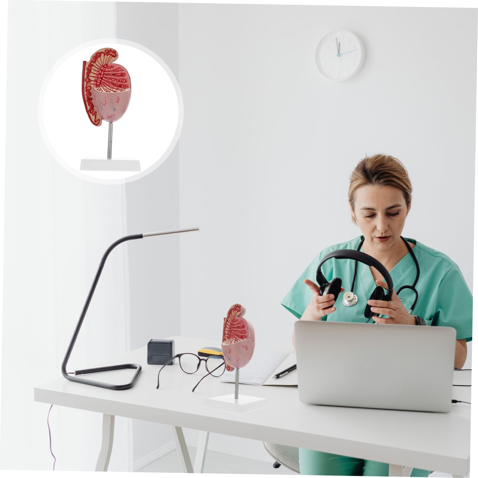 Model Anatomiczny Męskiego Układu Rozrodczego Powiększony Model Do Nauki Anatomii i Fizjologii Materiał Wytrzymały i Bezpieczny Idealny Dla Szkół Medycznych i Kursów