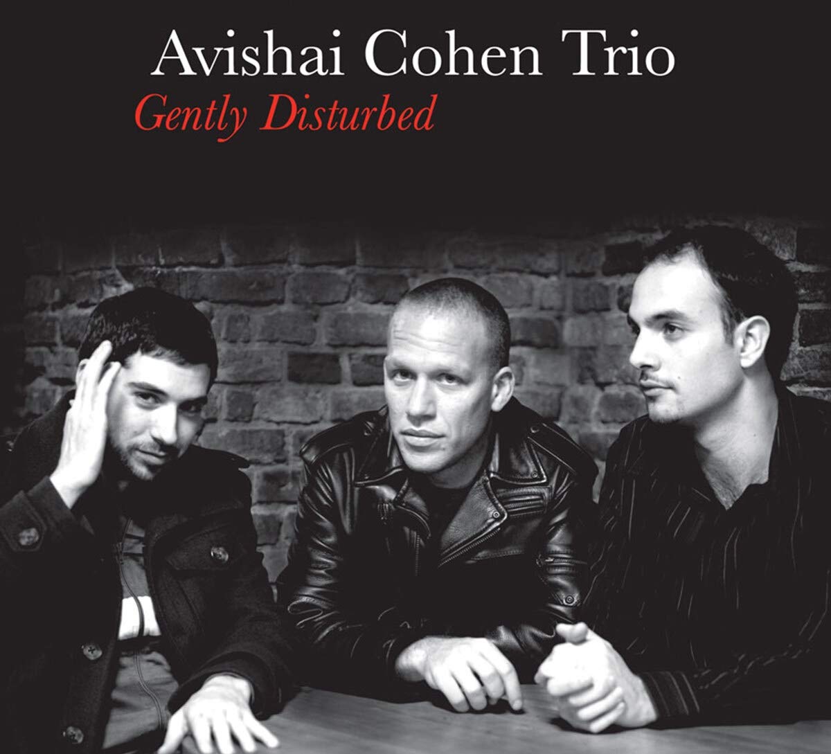 Gently Disturbed [Audio CD] Cohen, Avishai