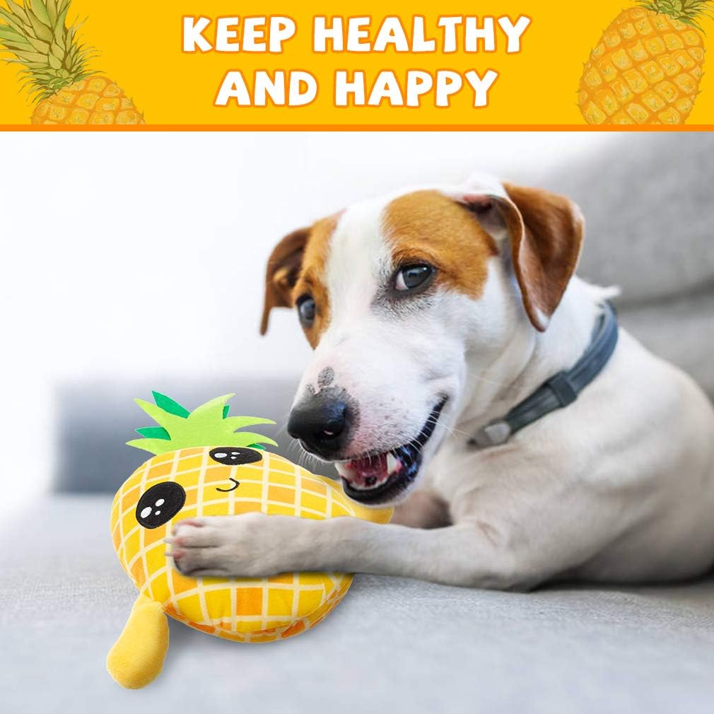 squeaky pineapple dog toy