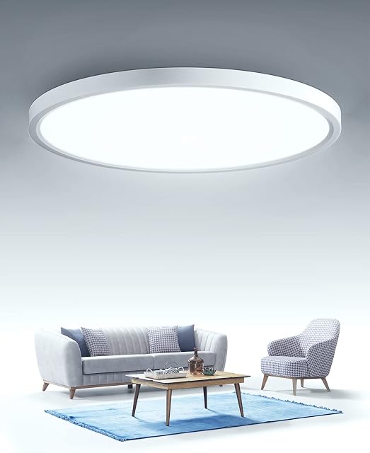 LED Ceiling Light 24W Round Bathroom Lamp Ceiling 2880lm 6500k Cold White Bathroom Lamp 30cm X 2.4cm IP44 Waterproof for Bathroom, Living Room, Hallway, Bedroom, Basement, Balcony, Kitchen