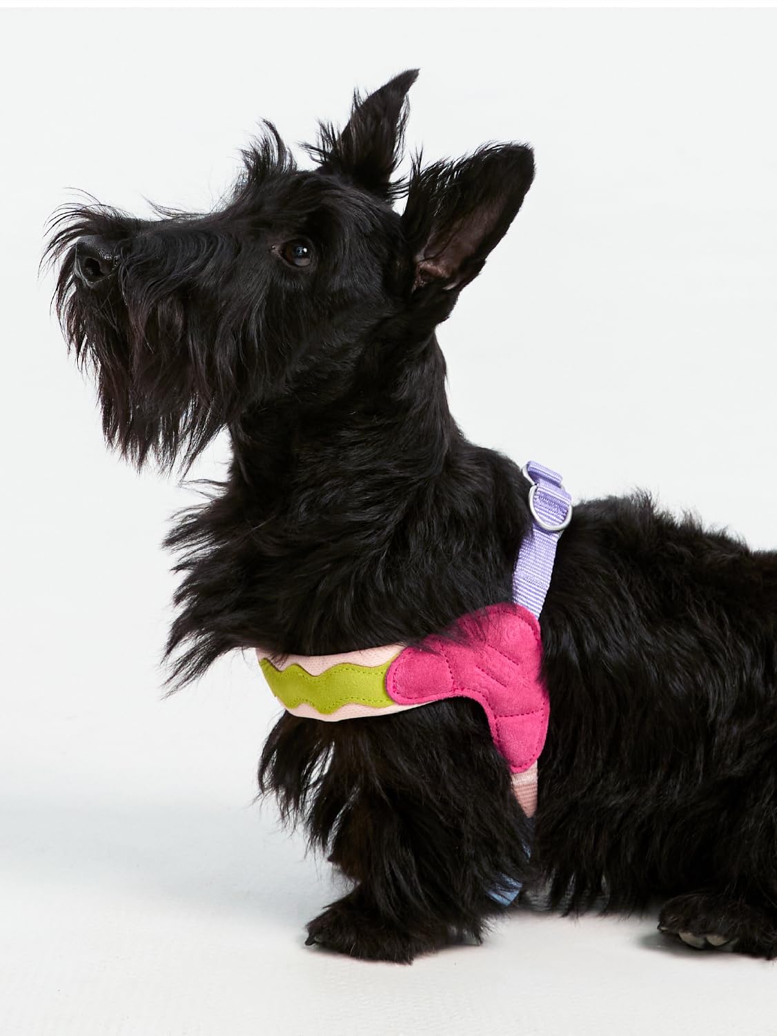Este arnés y Correa antitirones en Forma de Y está diseñado para Wirehaired Pointing Griffon e Incluye un Chaleco Acolchado Ajustable para el Pecho y Tiras Reflectantes. Red M+1.5M