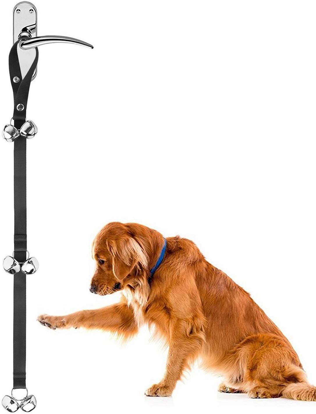 Buy Zellar Dog Puppy Doorbells, Length Adjustable Loud Dog Puppy Potty