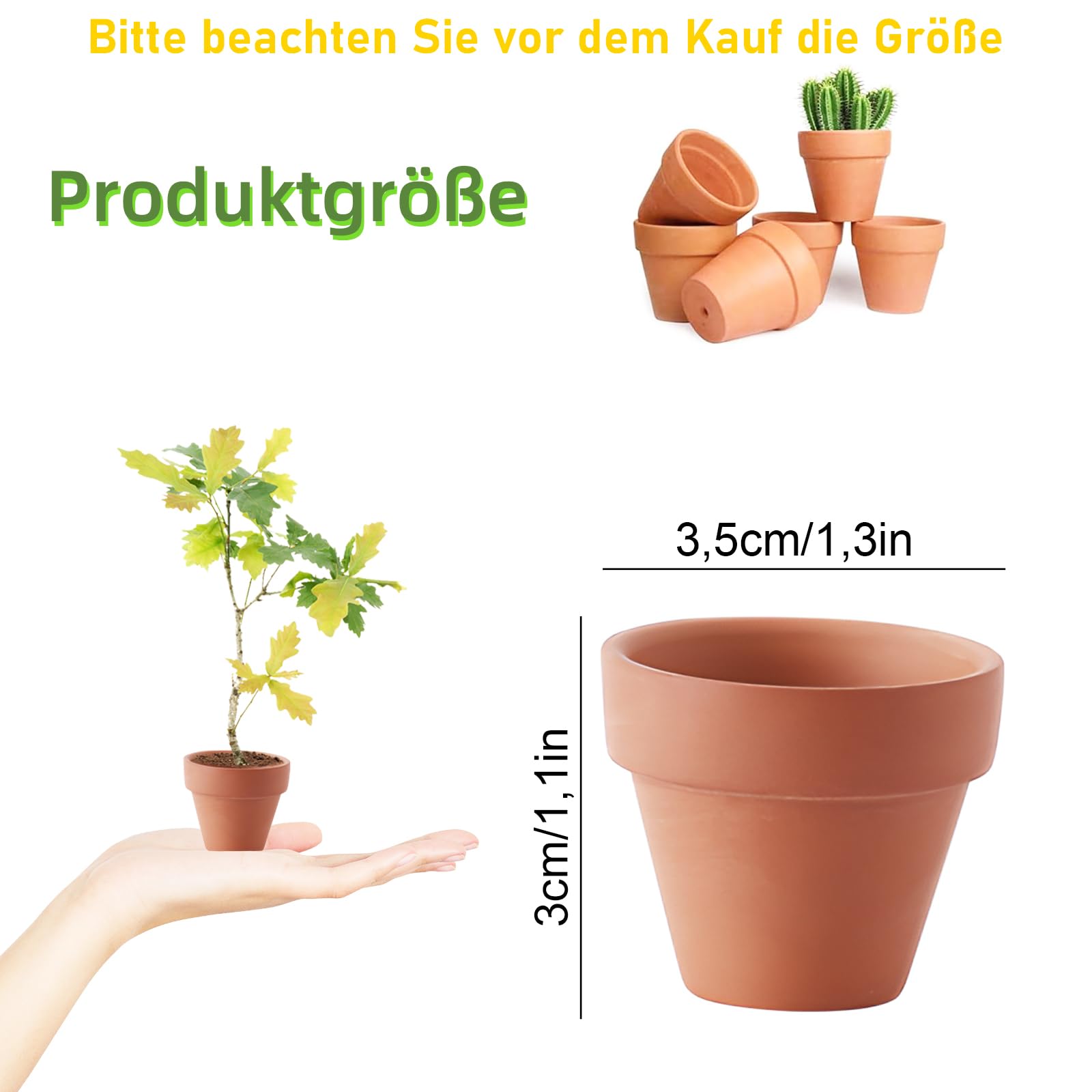 12 Mini Vasi In Terracotta 3x3 Cm – Argilla Rossa – Per Cactus, Pi Grasse E Bomboniere