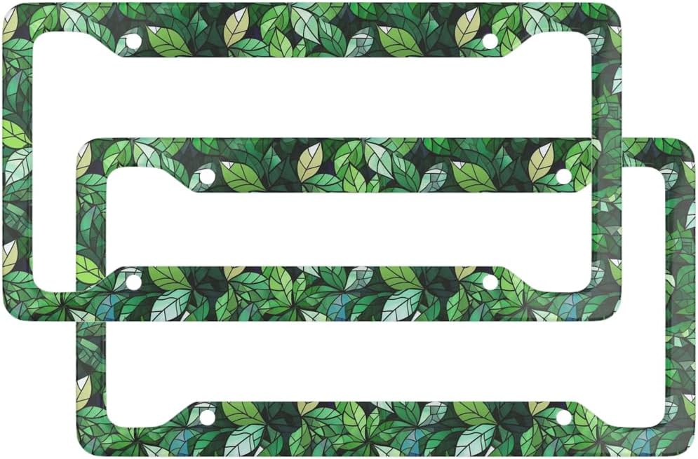 2 Pack Stained Glass Floral License Plate Frames,Colorful Wildflower Womens Cute Stainless Steel License Plate Holders Covers with Screws Fasteners Caps