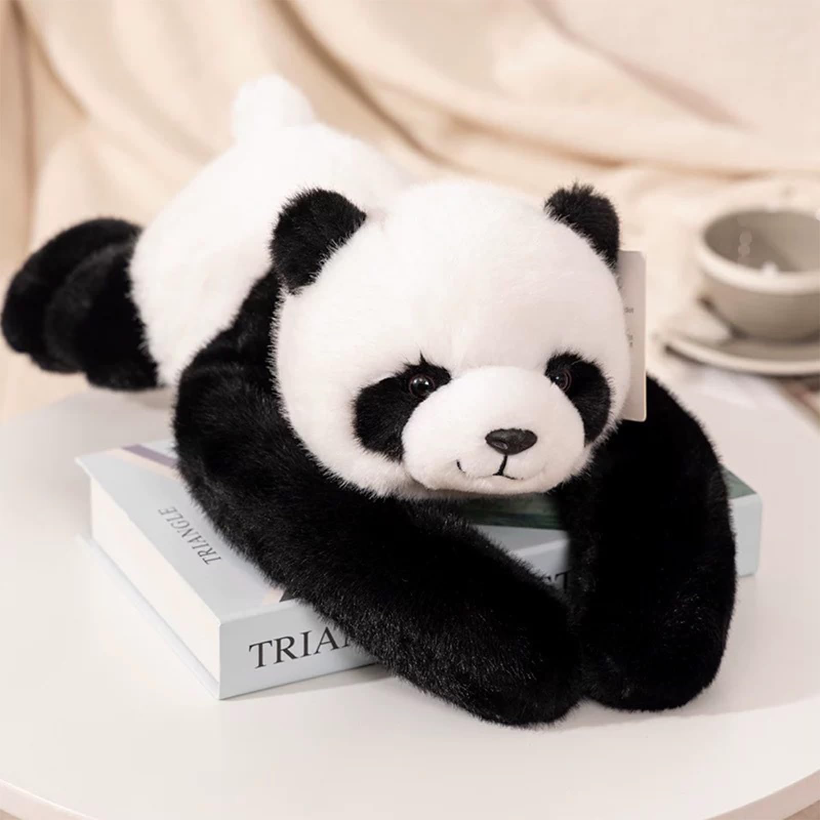 View 9