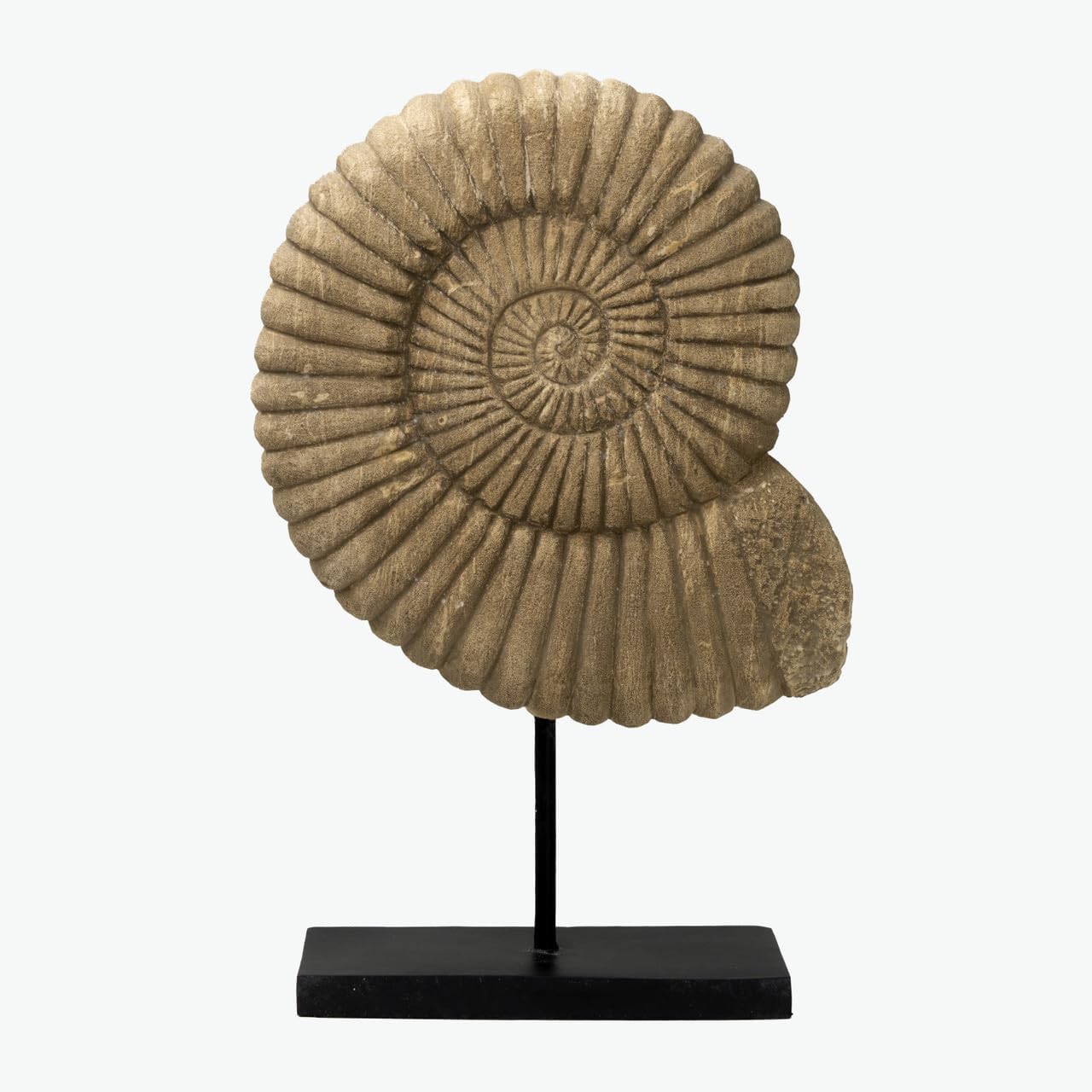 Artissance AM85440003 Stone Nautilus Statue, Natural