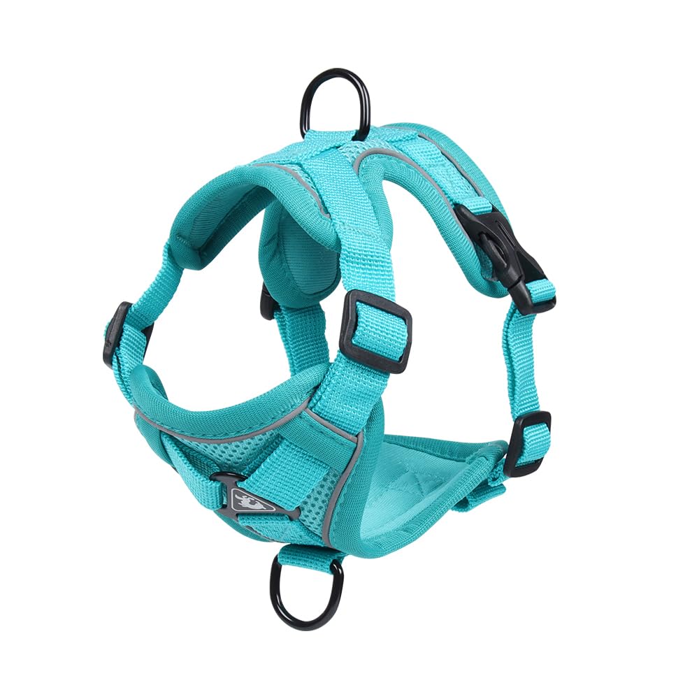 Cat Harness and Leash Set, Upgraded Escape Proof Adjustable Vest with Lead for Large Cat Small Dog Puppy Outdoor Walking - Image 4