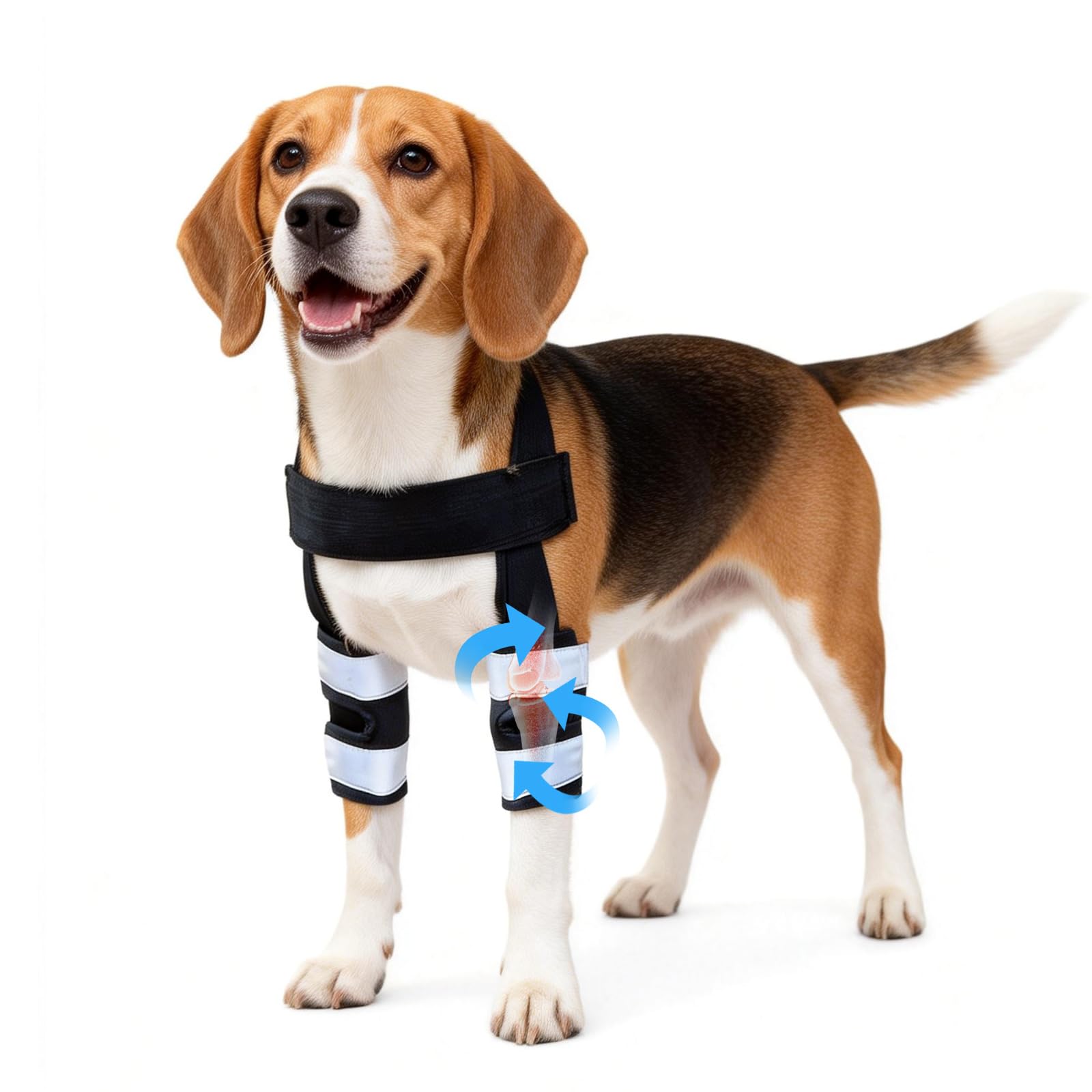 Attelle de jambe avant pour chien pour le soulagement de la douleur articulaire et du canal carpien