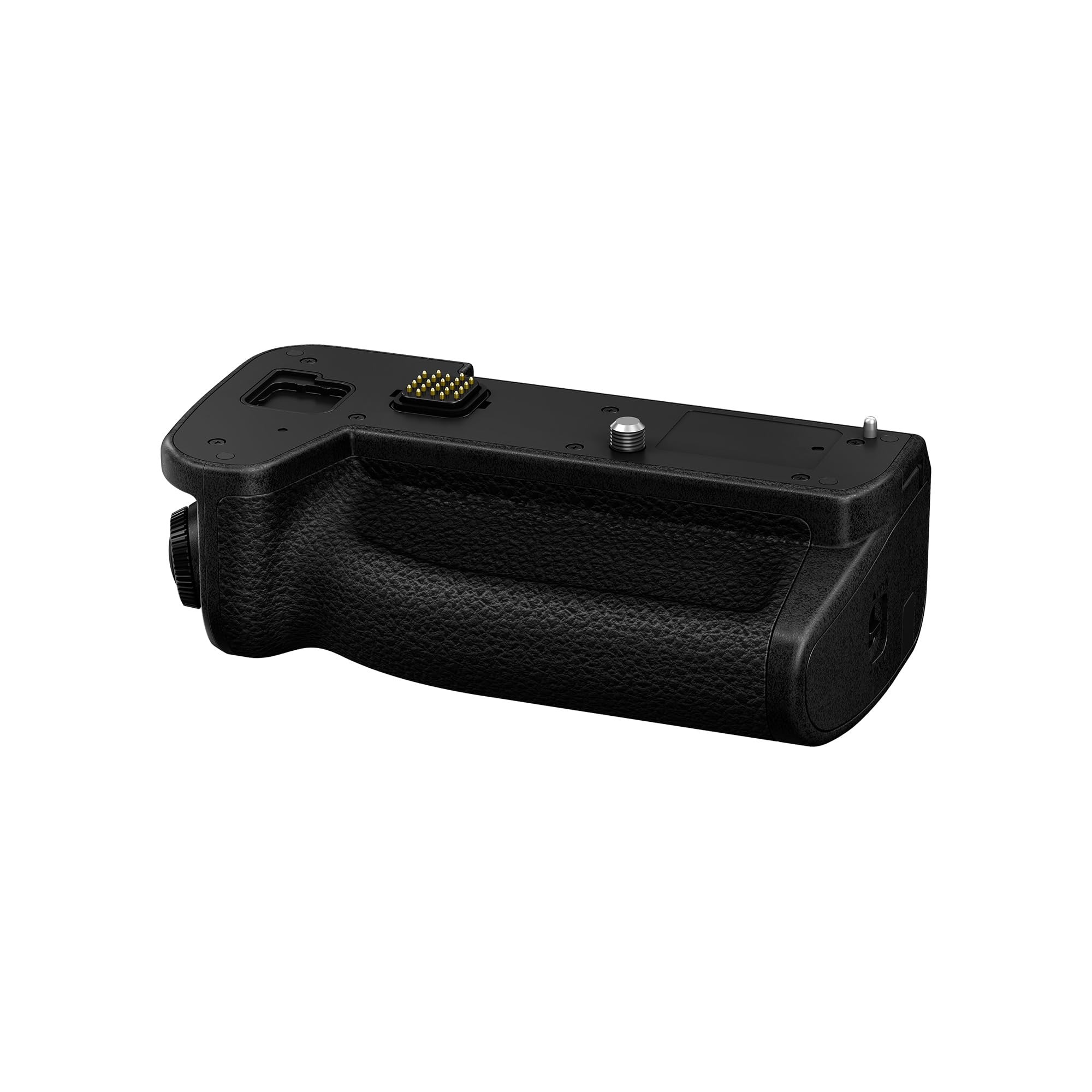PANASONIC Grip DMW-BG2E pour S1RII