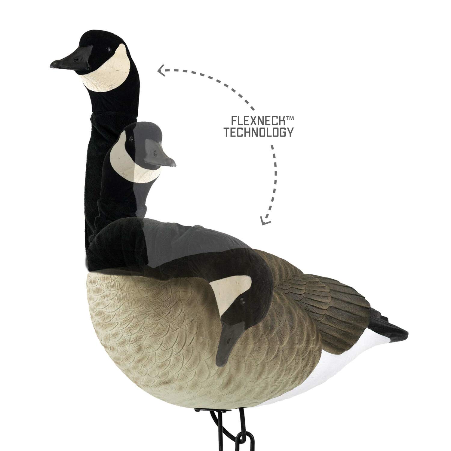 Amazon.com : FLEXFLITE DECOYS Goose 4 Pack, Flexible Neck