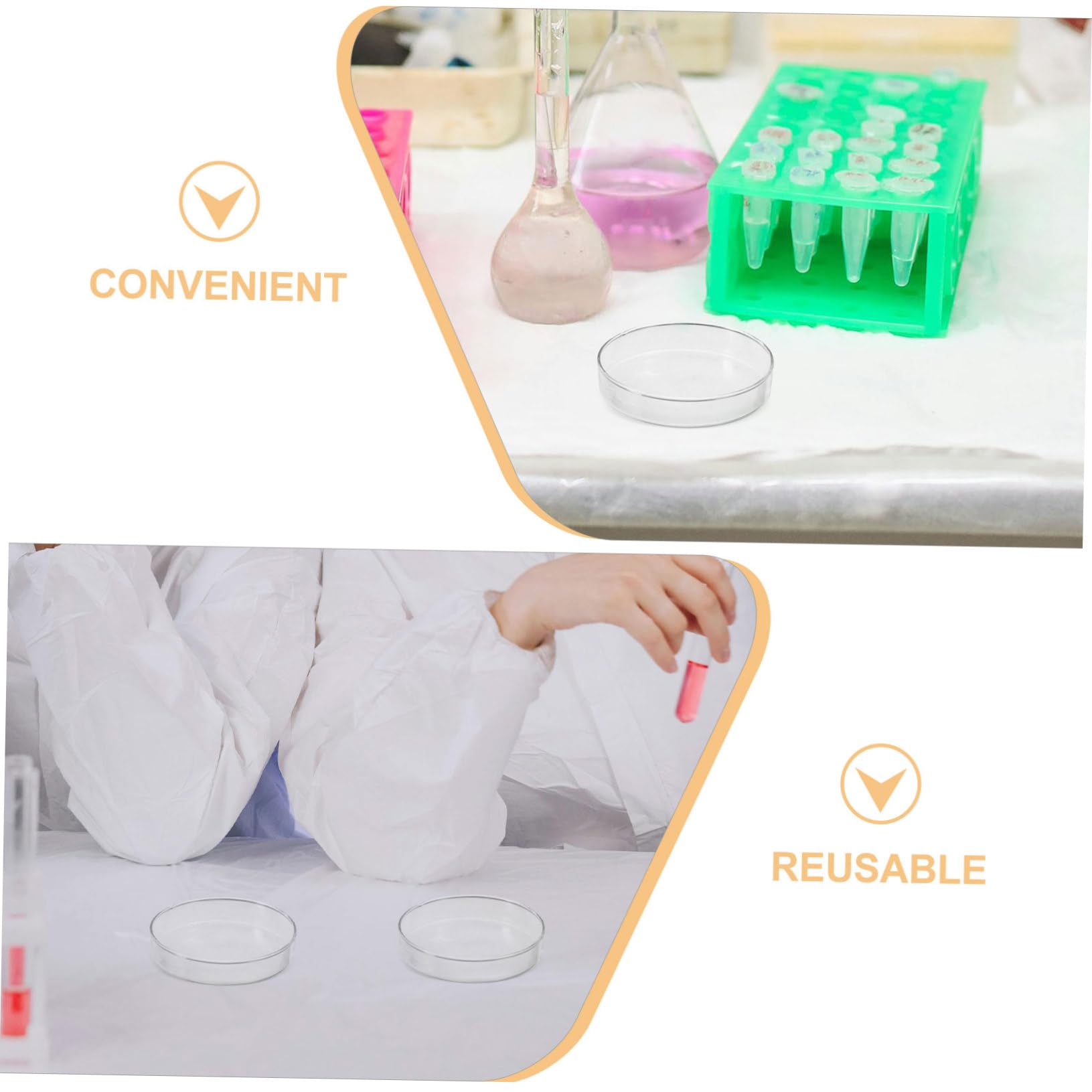 MAGICLULU 5 Piastre Per Campioni Piastre Di Petri Trasparenti Per Esperimenti Scientifici Per Da Laboratorio Di Petri Vuote Con Coperchi Di