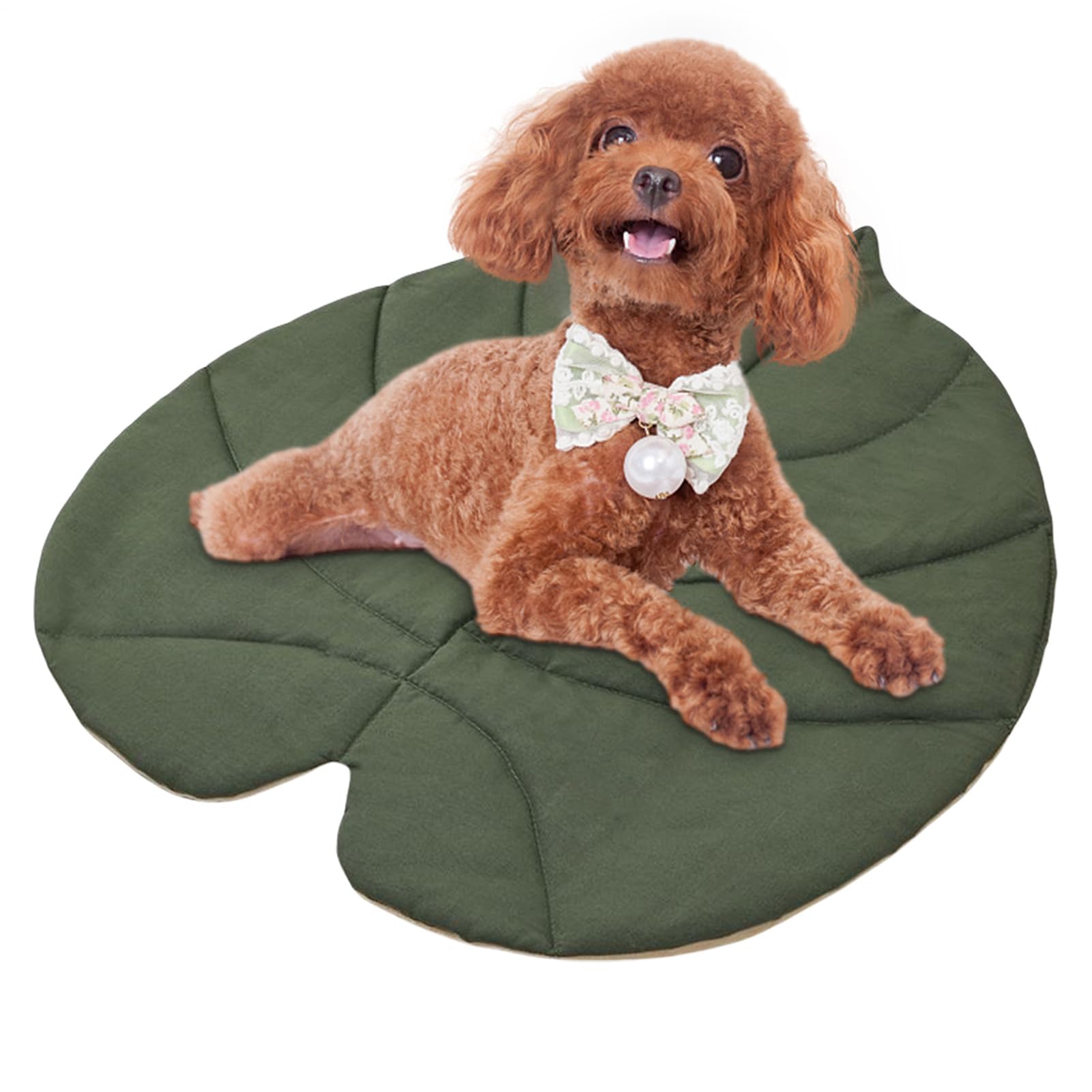 Coussinets pour chiens en voyage : tapis de voiture et sol forme feuille