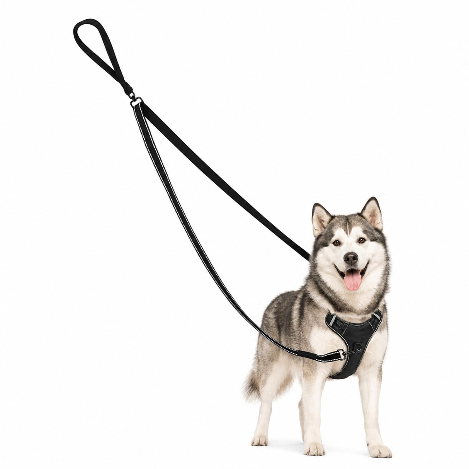 Heavy Duty Double Control Dog Leash, Two Point Control Dog Leash, No Tangle Training Leads, Anti Pull Lead for Small Medium Dogs Walking for Medium Large Dogs (Black)