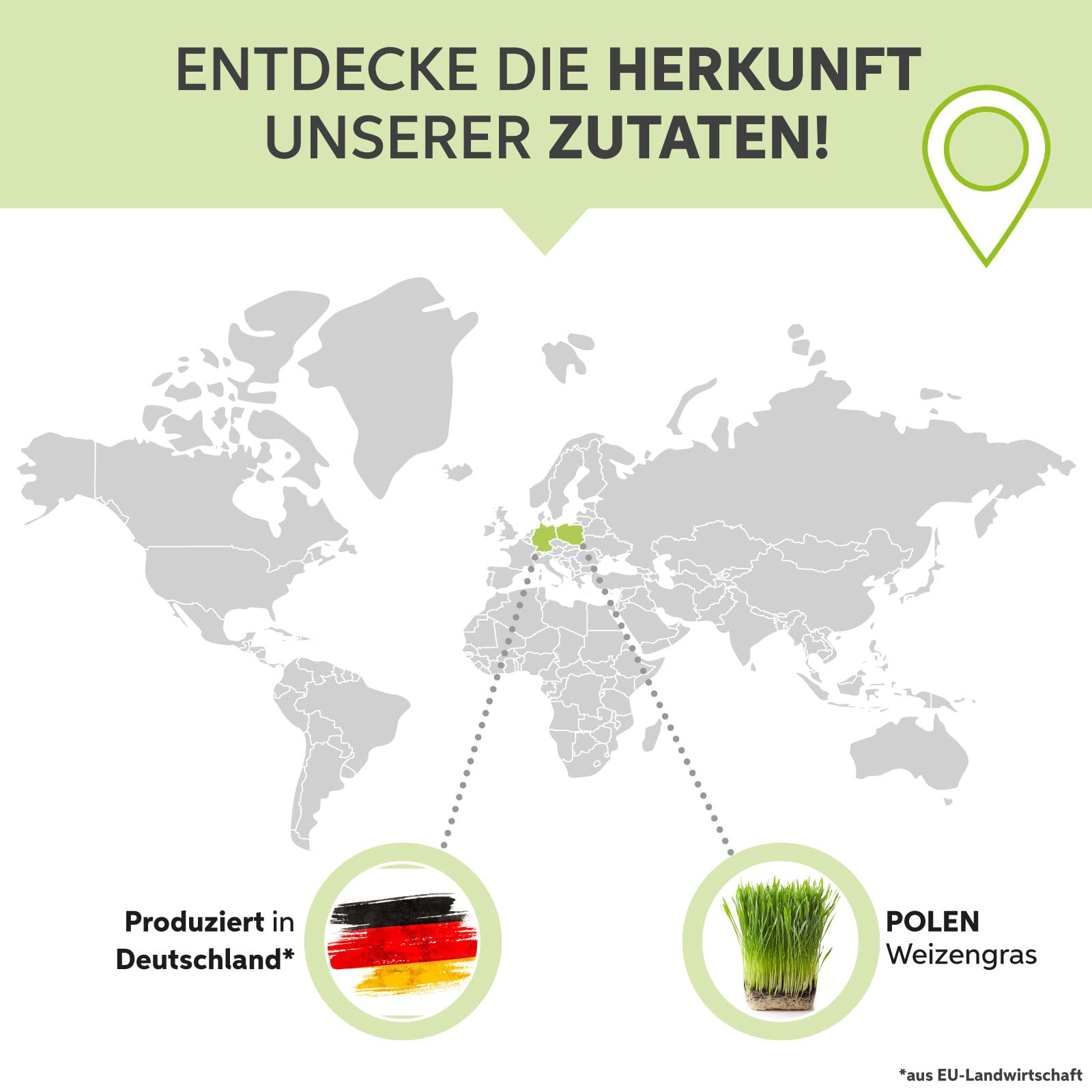 Weizengras Pulver gemahlen 1kg | Weizengras Pulver in Premium Rohkost-Qualität aus EU-Anbau | 100% rein ohne Zusätze