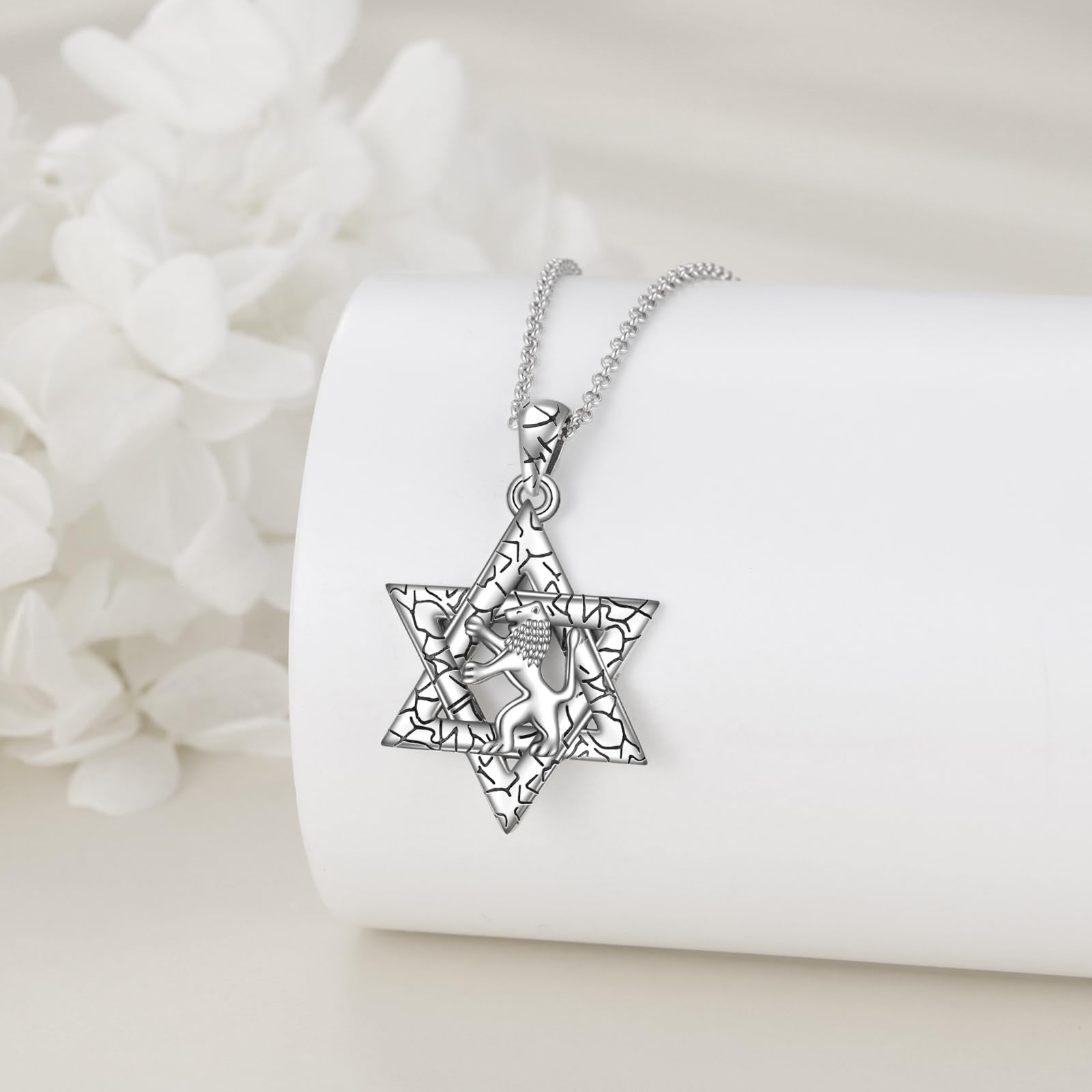 POPLYKE Collana con ciondolo a forma di stella di David, in argento Sterling, con ciondolo a forma di stella ebraica, idea regalo, Argento sterling