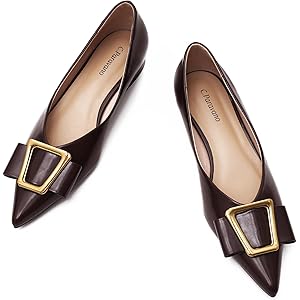 C.Paravano Women’s Flats I Pointed Toe Flats for Women I Women Flat Shoes I Crystal Buckle Flats I Ballet Flats Shoes for Women I Slip on Dressy Flats 8 Claret A12