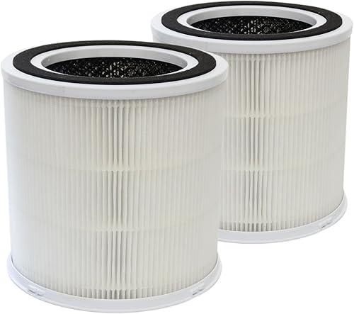 PUREBURG Filtro de repuesto compatible con purificadores de aire DAYETTE AP301 y JOWSET AP301 AP302 AP303 y AIRROBO AR400, paquete de 2 unidades H13