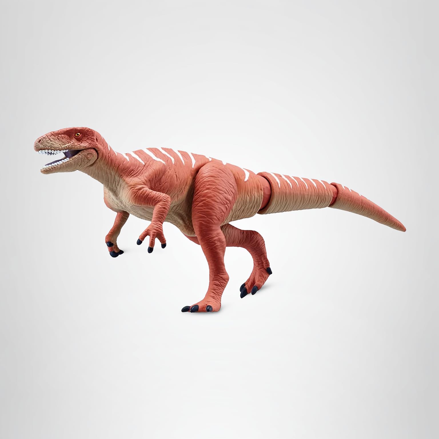 Amazon.co.jp: タカラトミー 『 アニア AL-19 フクイラプトル 』 動物