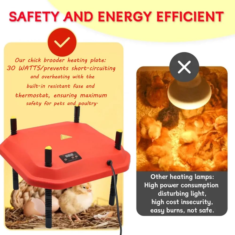 Chick Brooder Piastra di Riscaldamento,Piastra riscaldante Per Pulcini,Chick Brooder Piastra Termica,25X25 con Angolo Regolabile /Altezza / temperatura per Il Bambino Pollo Anatroccolo