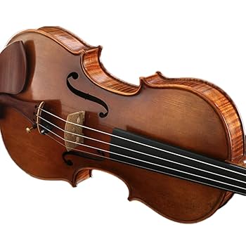 バイオリン ４／４サイズ ノーラベル ワンピースバック Amazon | 4/4 プロフェッショナルバイオリンワンピースバック 4