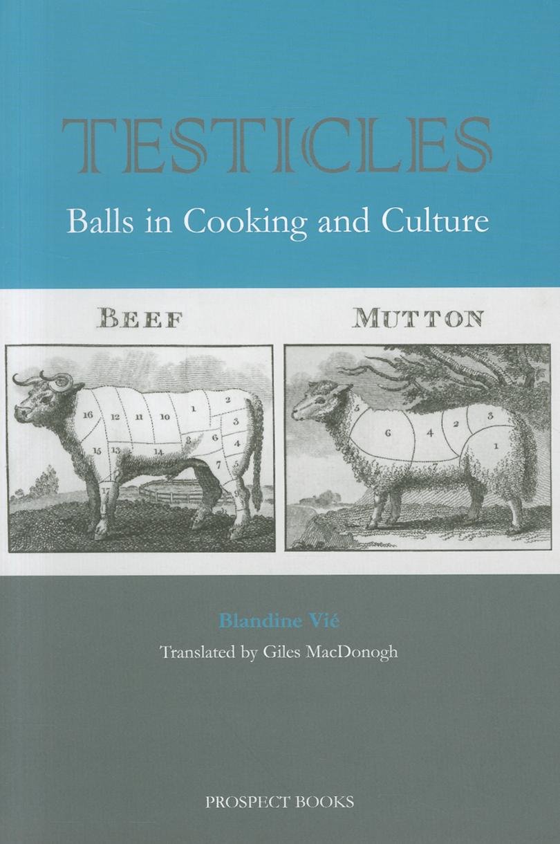 Testicles Paperback – January 9, 2009