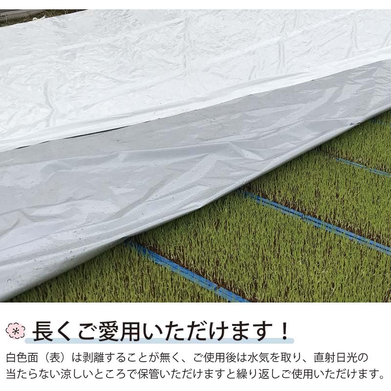 Amazon.co.jp: ハイホワイトシルバー 2.3×100m 育苗用シート 水稲用 苗