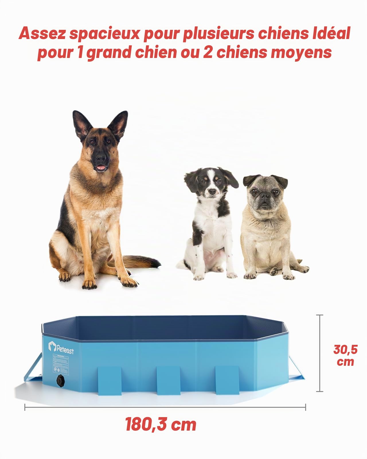 Peteast Piscine pliable pour chien, avec design rond robuste, durable, 183 cm x 39 cm x 12 cm, portable, extra large, avec parois latérales renforcées pour la stabilité, idéale pour l'intérieur et