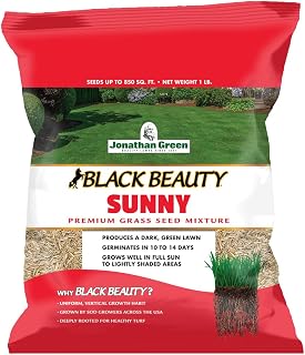 Jonathan Green Black Beauty Sunny Grass Seed 1 lb - Heat Tolerant Drought Resistant Cool Season Mix for Full Sun Lawns