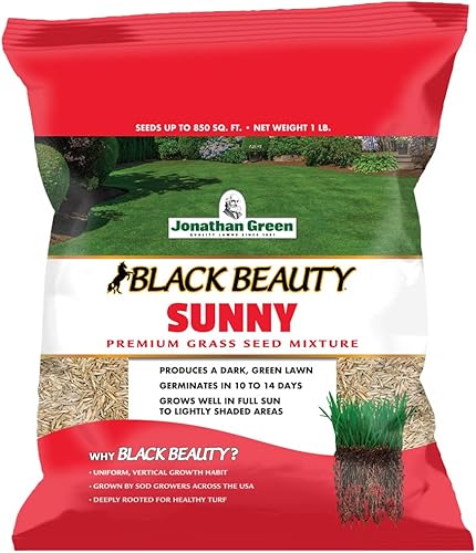 Jonathan Green 10895 Black Beauty Sunny Grass Seed - Semilla de césped de temporada fría 1 libra
