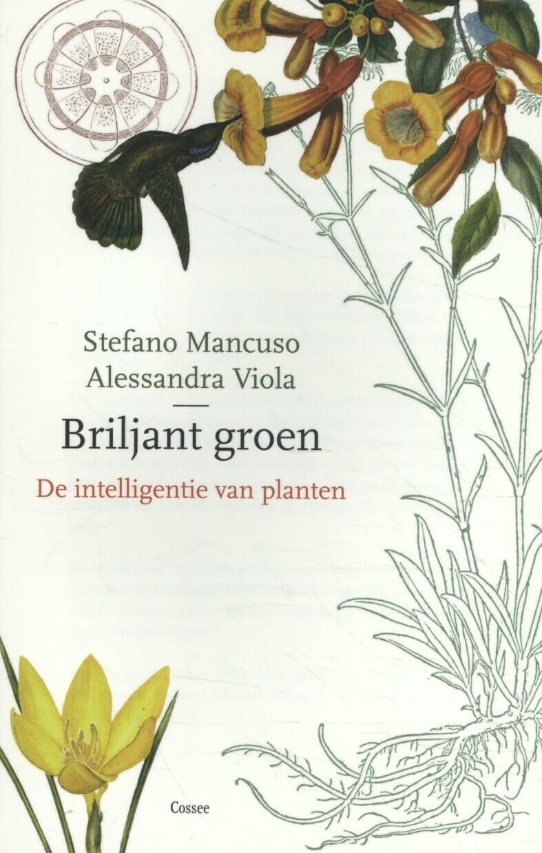 Briljant groen: De intelligentie van planten