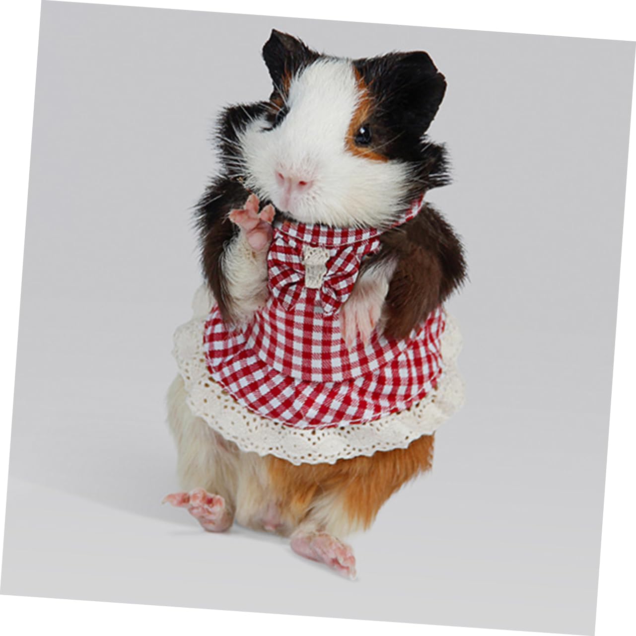 BESPORTBLE 5stücke Hamster Geschirr Für Kleine Haustiere Verstellbares Und Komfortables Set Für Kaninchen Frettchen Und Meerschweinchen Kariert