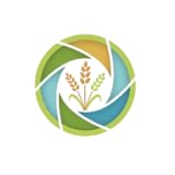 Millet Disease Detection App