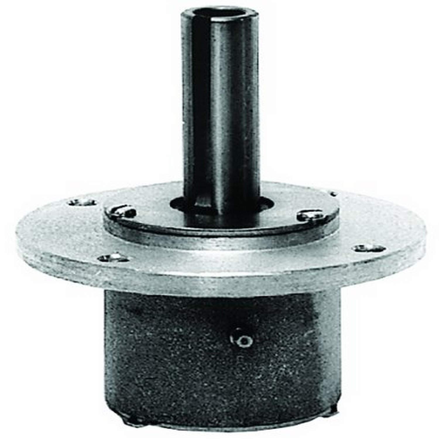 Amazon.com : Oregon 82-308 Spindle Assembly for Bunton PAL0806A