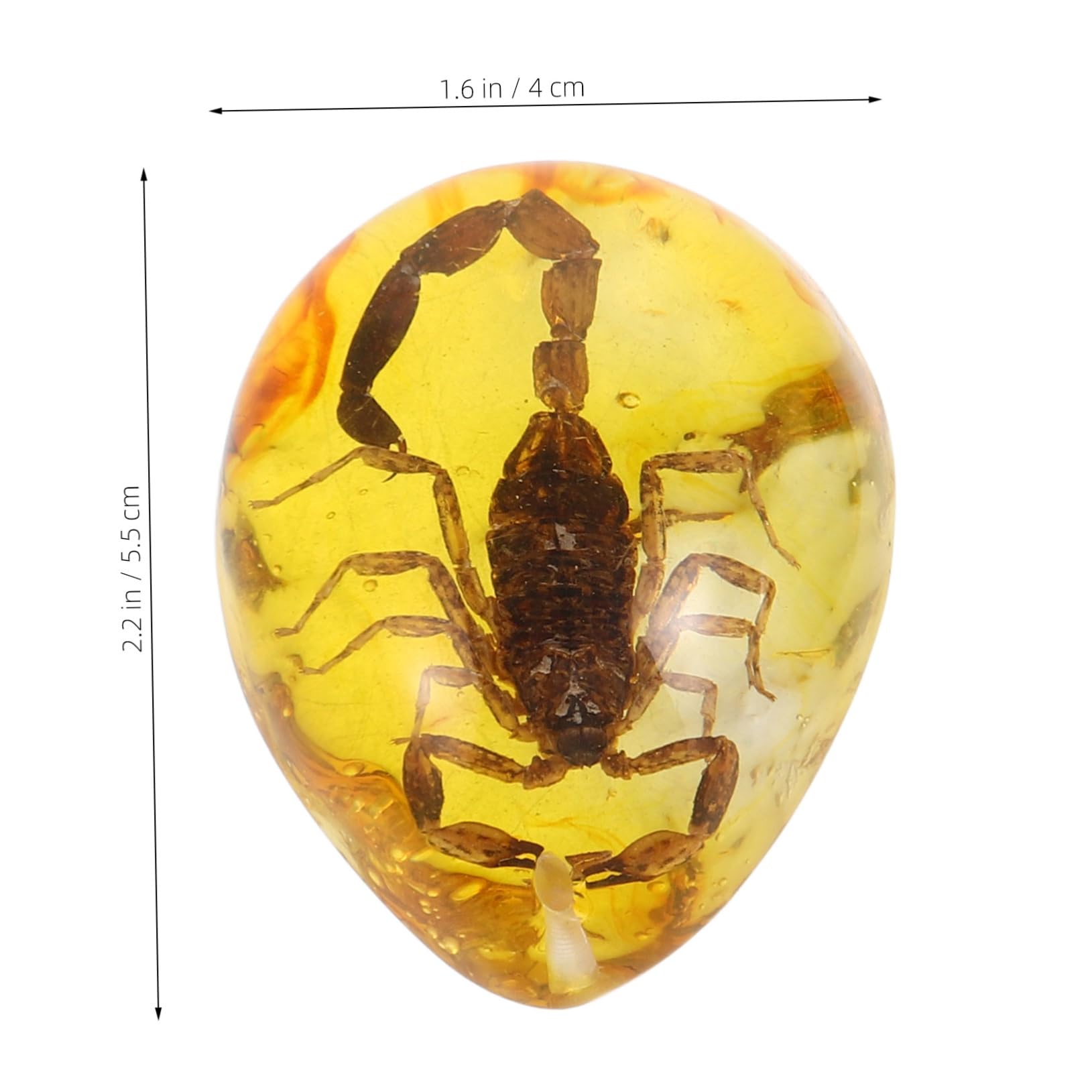 VICASKY 3pcs Amber Specimen Decorative Amber Crafts Insect Amber Decor for DIY Crafting Insect Amber Pendant Insect Specimen Pendants Amber Insect Specimen Amber Resin