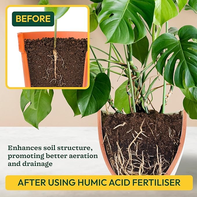 Image of UGAOO Humic Acid (98%) for Plants | Humic Acid Fertilizer for Plants, Home Garden, Growth Enhancer, Soil Conditioner, Improves Root System (250 gm)