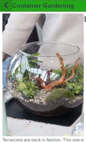 Container Gardening