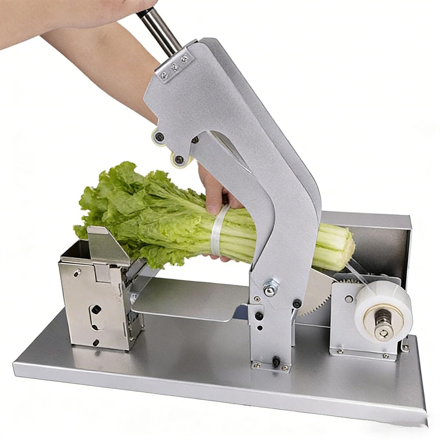 Reggiatrice per verdure, semi-automatica, struttura in acciaio, tensione e altezza regolabili, ideale per supermercati e mercati agricoli