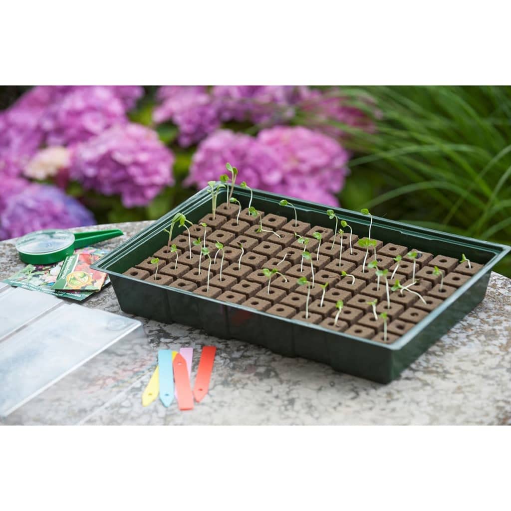 Kits de cultivo de plantas y hierbas - Plantas -Nature Propagator Mini Kit 7x11 células