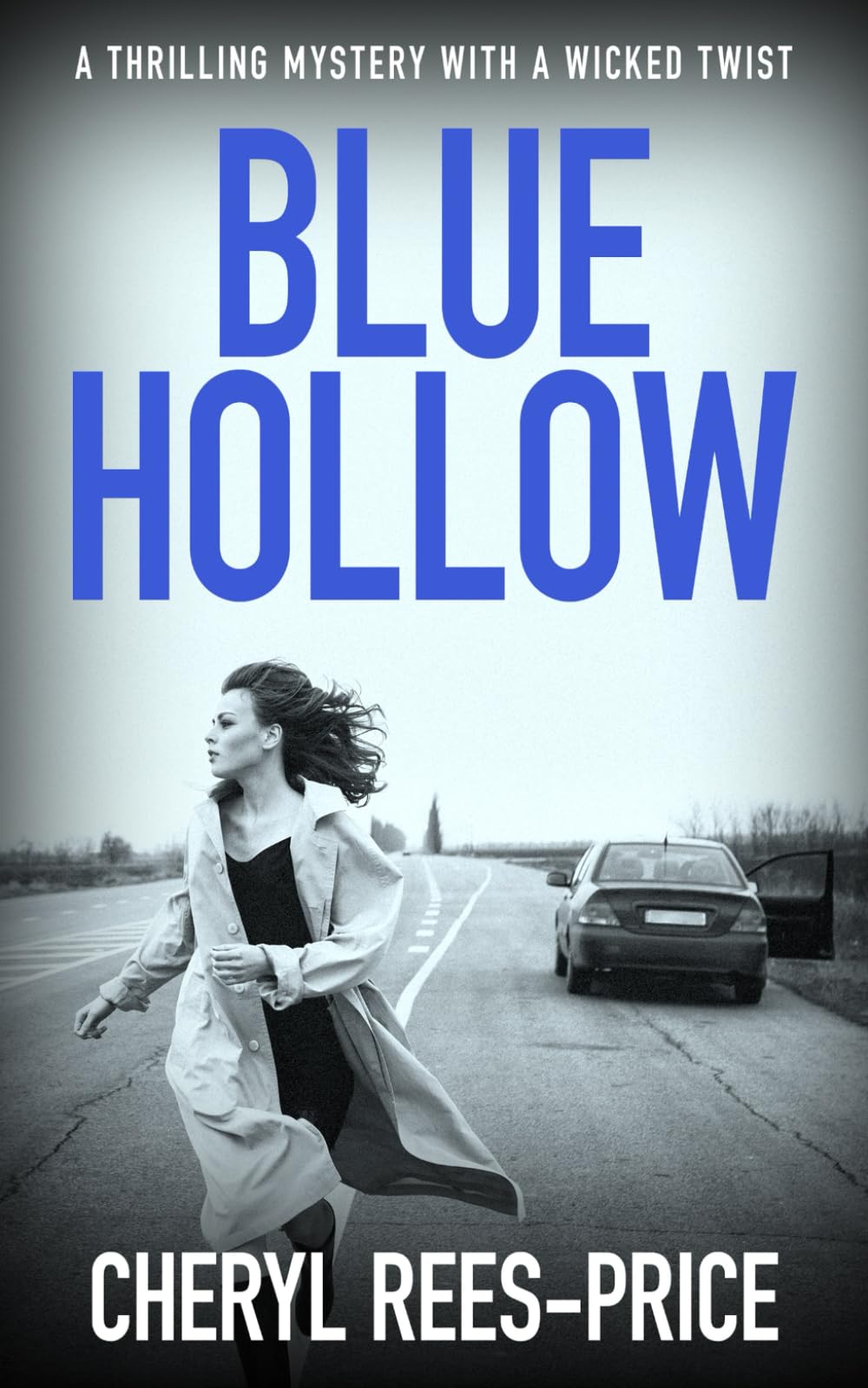 Blue Hollow: A thrilling mystery with a wicked twist