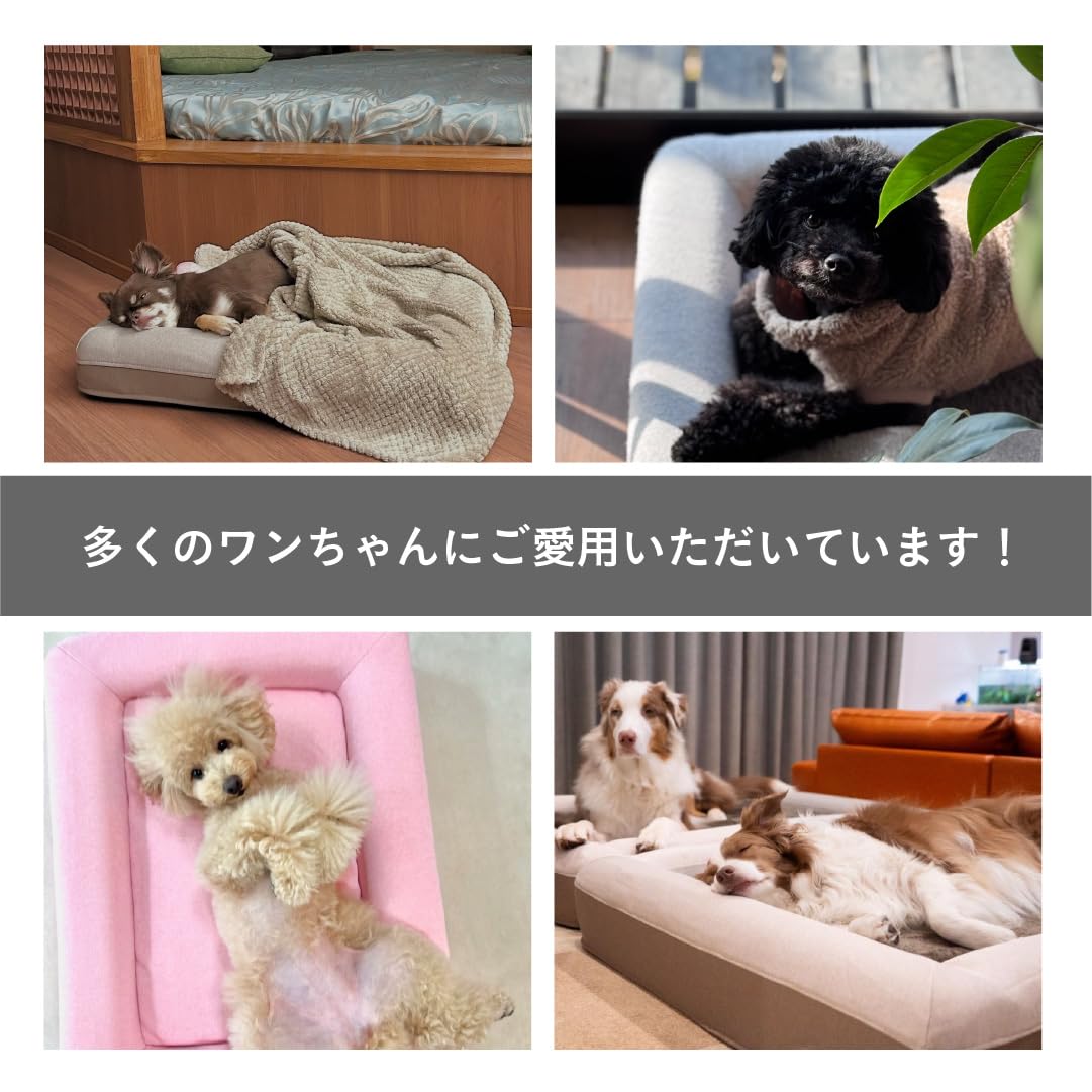 Amazon | グーグースリープ 犬 ペット ベッド ラージ グレー gugu