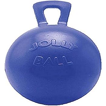 carrot ball horse toy